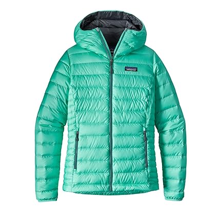 patagonia sweater hoody womens
