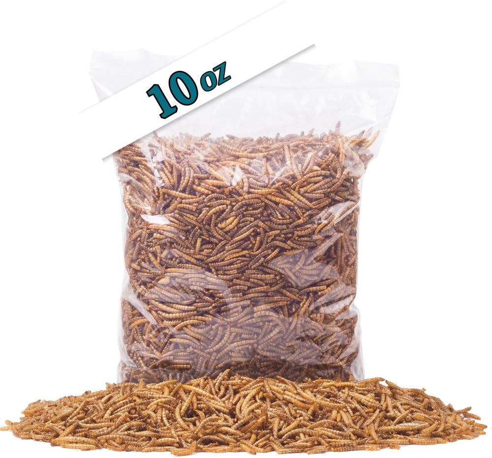Golden Grubs Dried Mealworm 100% All-Natural High-Protein For Chicken, Duck, wide bird (10oz)