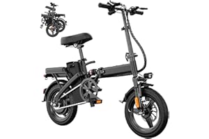 RPINT Electric Bike for Adults and Teens with 500W/750W/1000W Peak Motor, 14"/20"/26" E Bike with 48V Removable Battery, Commuter Electric Bicycles for Mountain Road Sand Snow, 25-45 Miles PAS Range
