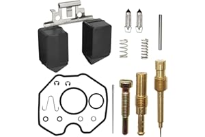 SHOZHO Carburetor Repair Rebuild Kits Fit for Honda XR100 1981-1984 XL100S 1979-1985 XR100R 1995-2003 CRF100F 2004-2007 XL125S 1979-1985 XR200 1980-1984 XR200R 1986-1997