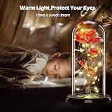 Touloube Galaxy Rose for Her Light Up Rose in Glass Dome Gift view 3