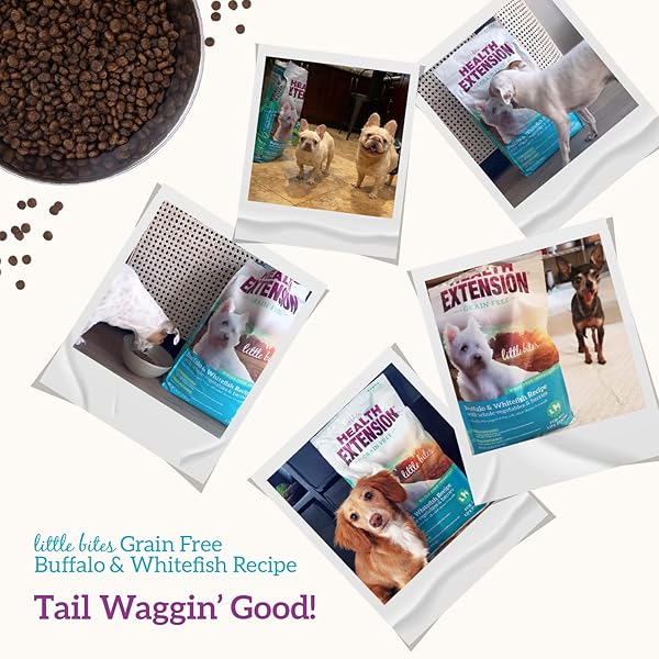 HEALTH EXTENSION GRAIN FREE BUFFALO & WHITEFISH LITTLE BITES (1 LB / 0.45 KG) – SMALL KIBBLE FORMULA WITH OMEGA 3 & WHOLE FOODS FOR TEACUPS, TOYS & MINIATURE DOGS