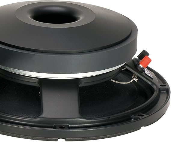 10 inch rcf mid bass