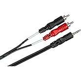 Hosa CMR-203 3.5 mm TRS to Dual RCA Stereo Breakout Cable, 3 Feet