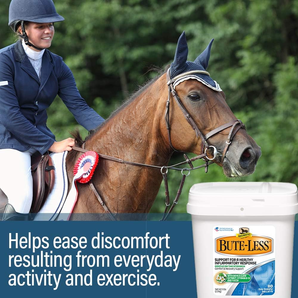 Bute-Less Comfort & Recovery Supplement Pellets, Healthy Inflammatory Response, 5 lb / 80 Day Supply : Pet Supplies