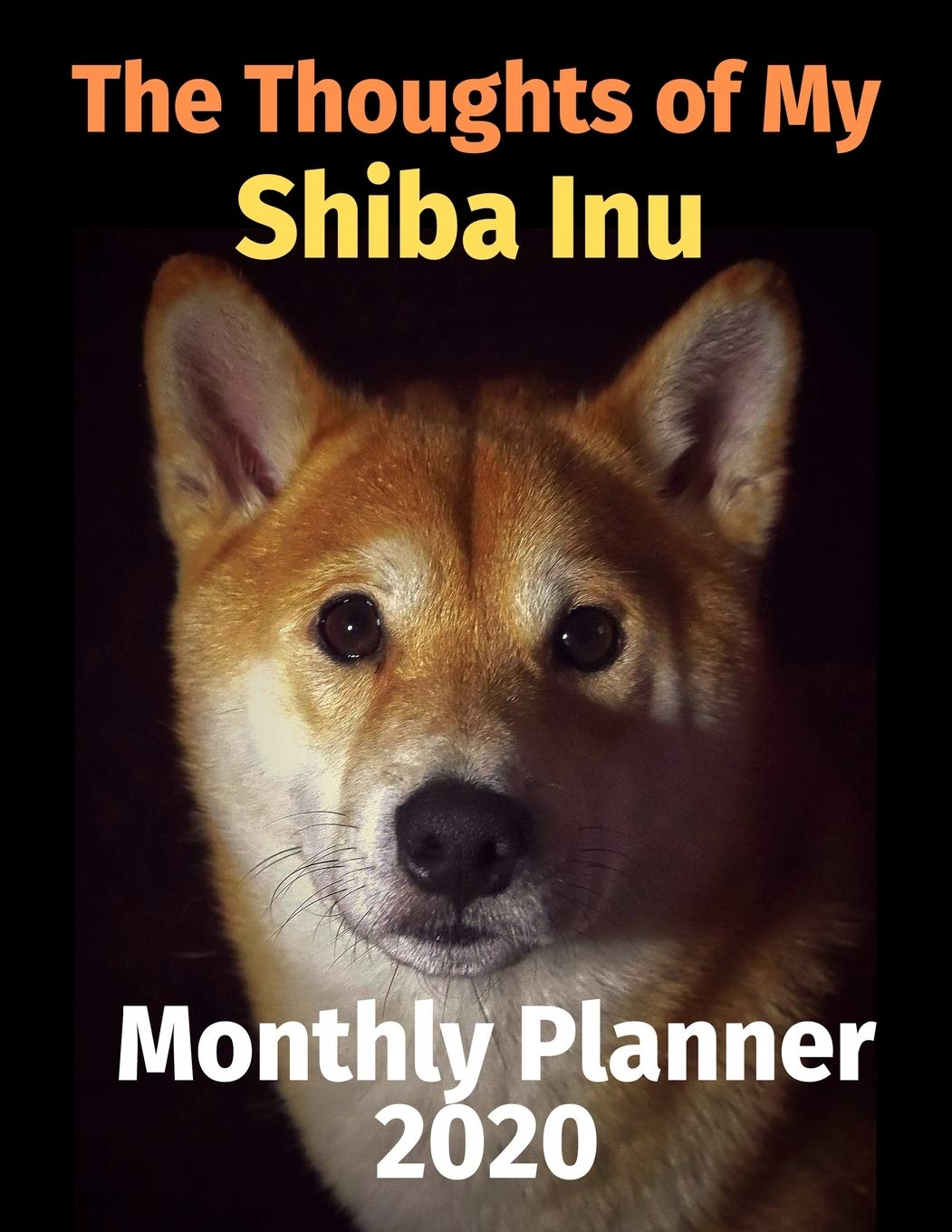 my shiba inu