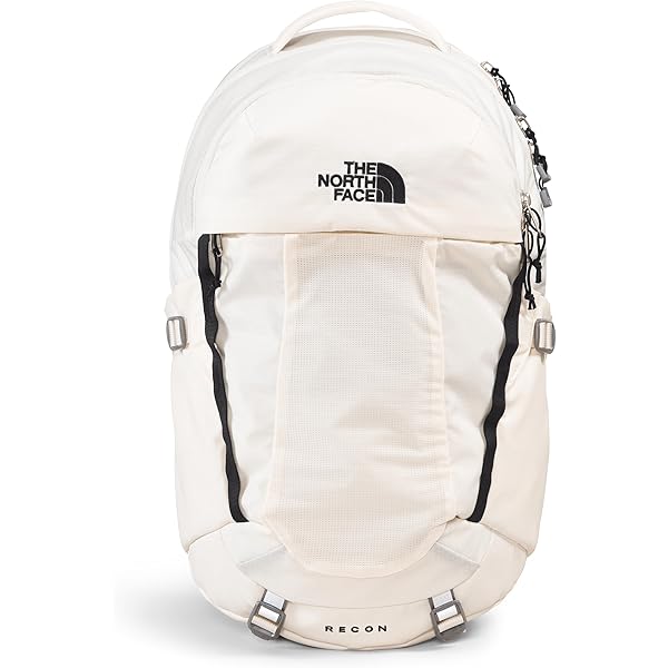 Amazon.com | THE NORTH FACE Women's Recon Everyday Laptop