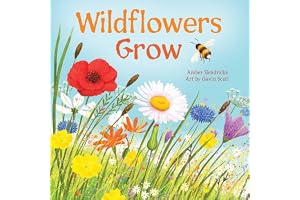 Wildflowers Grow (Little Nature Explorers)