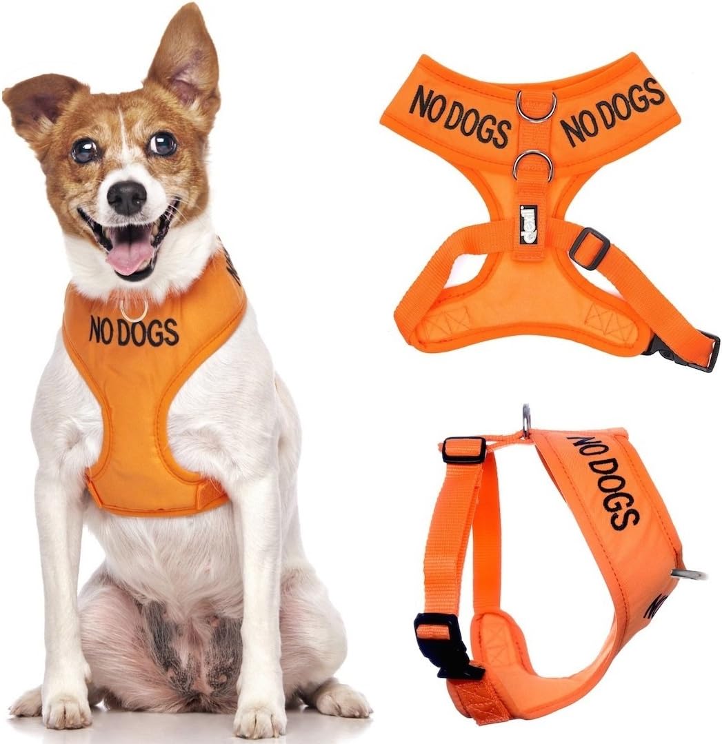 Dexil NO DOGS (Not good with other dogs) Orange Colour Coded Non-Pull Front and Back D Ring Padded and Waterproof Vest Dog Harness PREVENTS Accidents By Warning Others Of Your Dog In Advance (S)