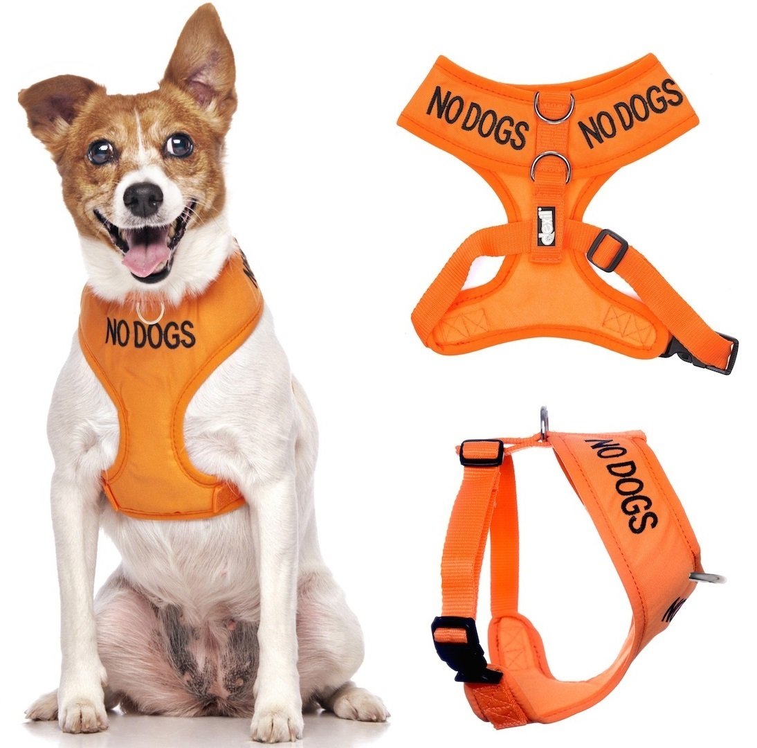 Dexil NO DOGS (Not good with other dogs) Orange Colour Coded Non-Pull Front and Back D Ring Padded and Waterproof Vest Dog Harness PREVENTS Accidents By Warning Others Of Your Dog In Advance (S) โ image 1
