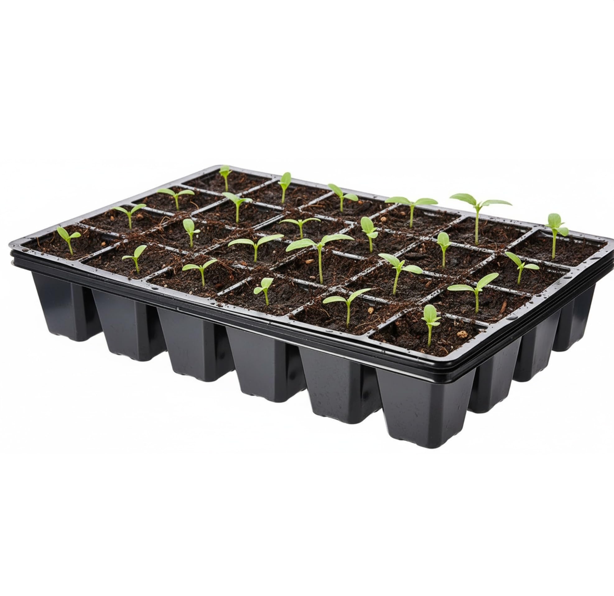 Nutley's 24-Cell Seed Tray Inserts (Pack of 3)