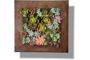 VANDUE Modern Home Living Wall Galvanized Steel/Zinc Succulent Planter, Wall Mounted Garden Pocket Planter (16 Pocket, Rust Zinc)