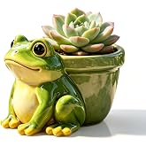 EOREA Small Resin Frog Succulent Planter, Small, 2.76in Tall | Hand-Painted, Mini Animal Garden Statue Pot, Indoor Outdoor Desk Patio Fairy Garden, Plant Lover Gift