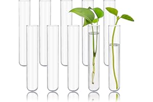 HUAOU 10pcs 60ml Glass Test Tubes, 25x150mm 3.3 Borosilicate Glass Test Tubes for Scientific Experiments, Party and Home Decorations, Candy Storage and Plant Propagation