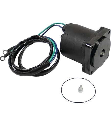 【美品】mowl Triarch Amazon.com: Sierra 18-6761 Tilt and Trim Motor : Sports