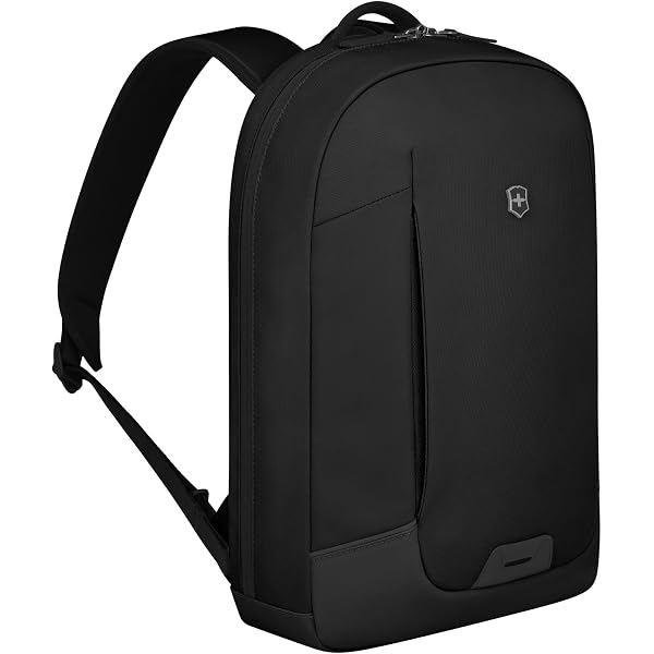 Amazon.com | Victorinox Altmont Modern Deluxe Backpack Black
