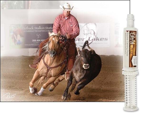 ULTRACRUZ® EQUINE CALMING PASTE, 60 ML