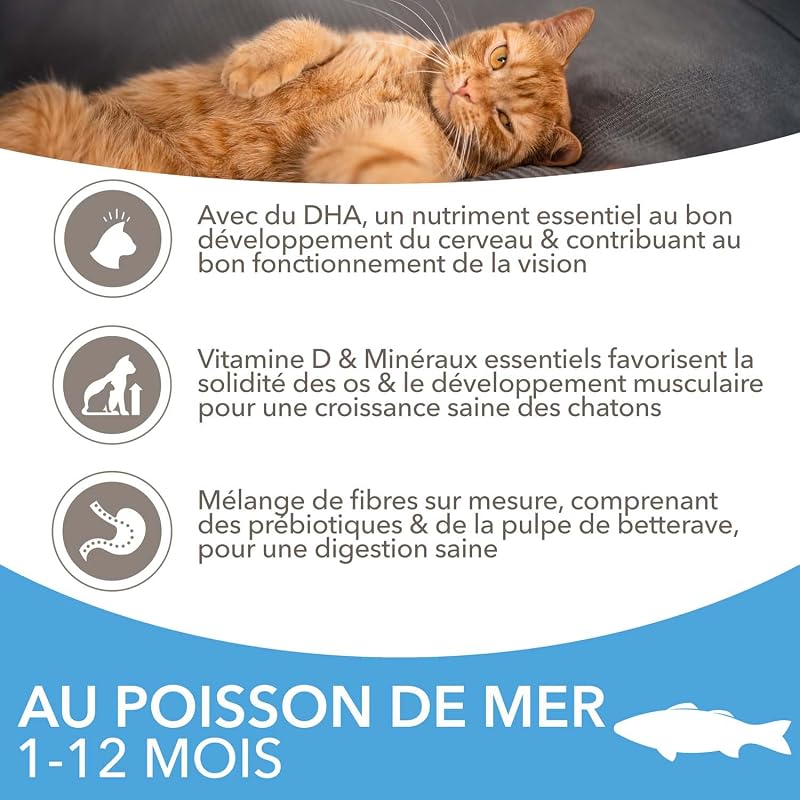 Vitality Croquettes Chaton Poisson de l'Océan 10 kg
