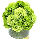 Blooming Paradise 20Pcs Artificial Silk Chrysanthemum Ball Flowers Fake Mums Stem for St Patricks Day Arrangements Wedding Bouquets Home Kitchen Garden Table Floral Centerpieces (Dark Green&Green)
