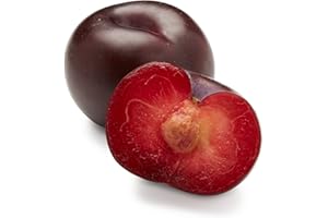 FRESH PRODUCE (BRANDS MAY VARY) Organic Black Plum