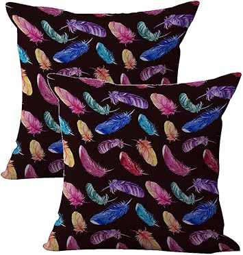 Amazon Com Set Of 2 Native Feather Cushion Cover Throw Pillows