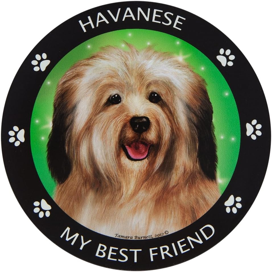 House Is Not A Home Wht Blk Tibetan Terrier Magnet