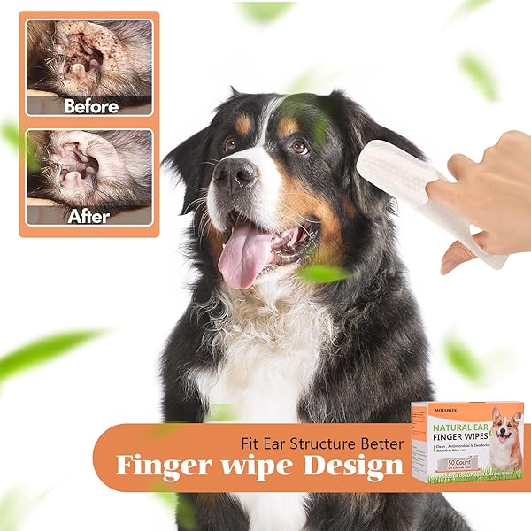 MOTAWEEK DOG EAR WIPES FINGER – PORTABLE AND CONVENIENT 50-PACK FOR GENTLE CLEANING & INFECTION TREATMENT OF DOGS’ & CATS’ EARS, EYES, AND PETS, FRESH AND COMFORTABLE EXPERIENCE