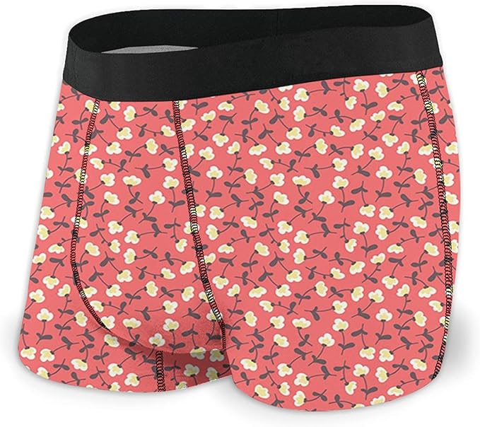 Men's Boxer Briefs,Cute Doodle Style Floral Pattern Spring Romance