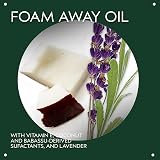Aveda Botanical Kinetics Purifying Gel Cleanser Normal to Oily Skin Lavender view 3
