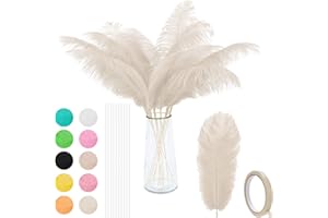 VONMXVTE 24pcs Natural Ostrich Feathers 10-12inch (25-30cm) for Wedding Flower Arrangement and Home Decoration，Party Centerpieces. (Beige)