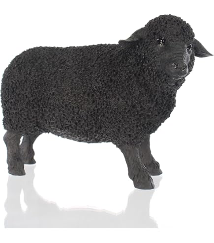 小物 TEN COIN SHEEP BLACK 2020 1 oz South African Big Five Leopard Silver Coin l JM Bullion™