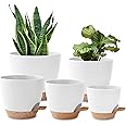 5 Pack Plant Pots Indoor 7/6.5/6/5.5/5 Inch Flower Pots Self Watering Planters for Indoor Plants with Drainage Hole Plastic P