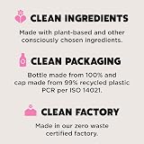Ecover All Purpose Cleaner Refill 5L Lemongrass Ginger Scent view 3