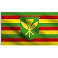 DMSE Kanaka Maoli Hawai’i Hawaii King Kamehameha Native Hawaiian Flag 2X3 Ft Foot 100% Polyester 100D Flag UV Resistant (2' X 3' Ft Foot)