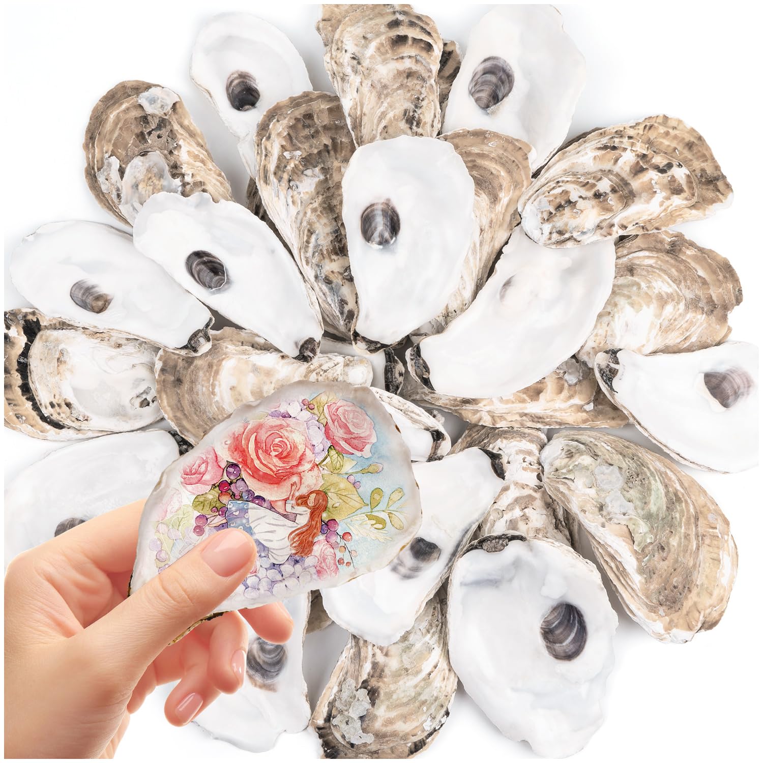 Photo 1 of 30 PCS Flat Oyster Shells 4-5” Natural Bulk Concave Oyster Shells for Crafts Home Vase Filler DIY Painting Theme Party Coastal Shell Art Supplies