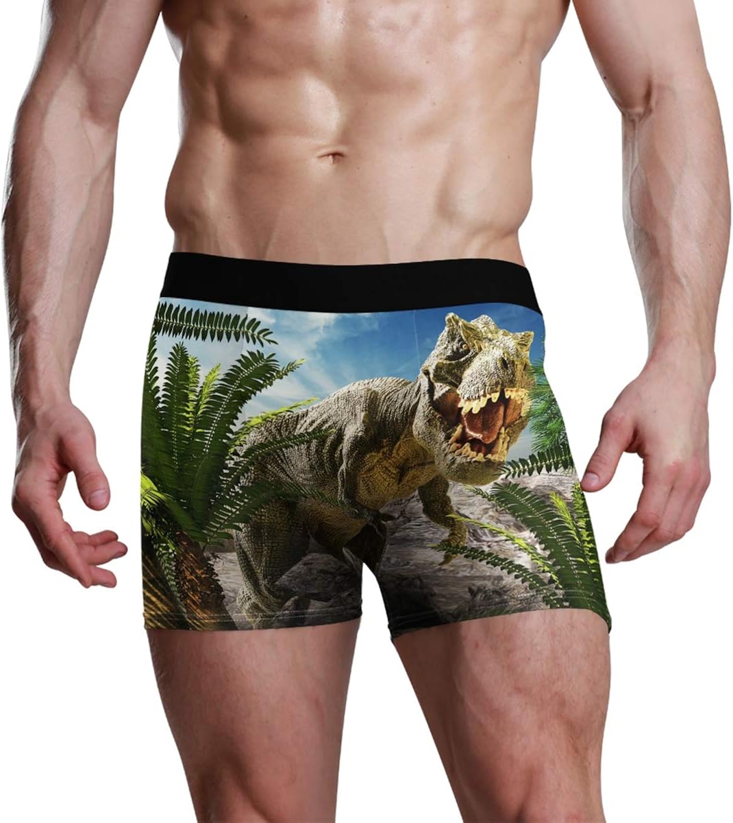 DXG1 Dinosaur 3D Tyrannosaurus Rex Mens Boxer Briefs Underwear for Men
