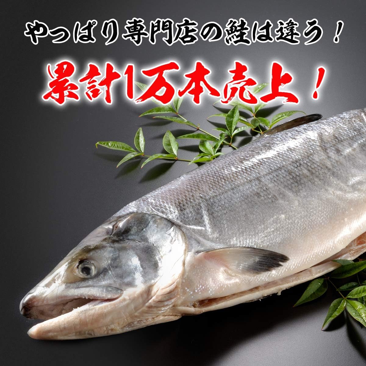 Amazon サーモン専門店岩松 北海道産 新巻鮭 秋鮭 一本物 約3kg 化粧箱入 岩松水産 鮮魚 通販