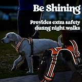 rabbitgoo Large Dog Harness No Pull Front Back Clips Reflective Orange L view 9