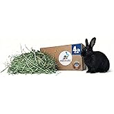 High Desert Orchard Grass Hay for Rabbits, Guinea Pigs, Chinchillas, 4 lb | Soft Leaf Low Protein Forage, Ideal For Adult Or Overweight Pets, Great Alfalfa Alternative, Hand Packed in the USA, Low Dust