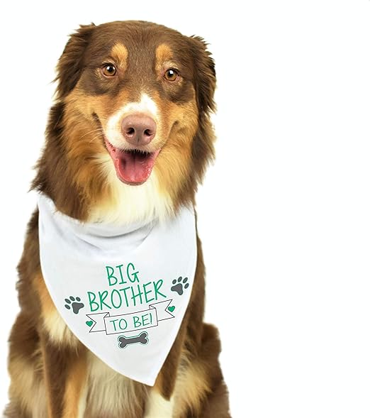 big brother dog handkerchief