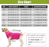 HEYWEAN Dog Recovery Suit Post Op Bodysuit for Neutering Spay Recovery view 3