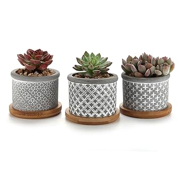 T4U 6cm Sukkulenten Topf Zement Grau 3er-Set mit Untersetzer, Mini-Pflanzgefäß für Kakteen Blumen für Garten Büro Schreibtisch Dekoration Geschenk zum Geburtstag Hochzeit Weihnachten