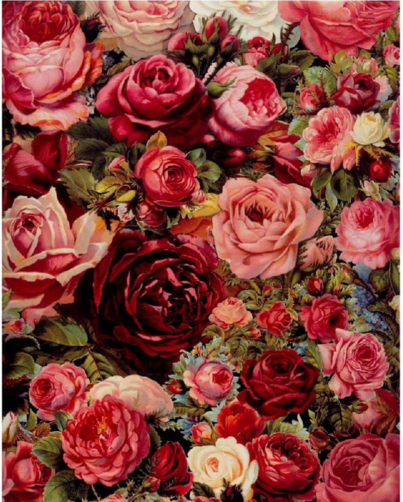 Bigie DIY Oil Painting Adult's Paint by Number Kits Acrylic Painting 16X20 Inch (Frameless, Rose Red)