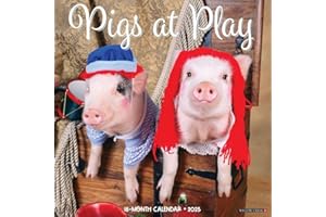 Pigs at Play 12" x 12" Wall Calendar