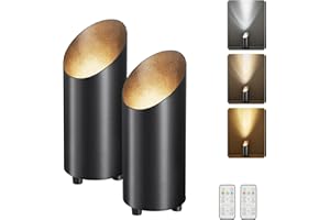 Powfloven 2 Pack Wireless Battery Operated Spotlights Indoor with Remote, Mini Black Cordless Rechargeable Floor Can Lights, Small Dimmable Timer LED Accent Uplight for Corner Home Plant Artwork