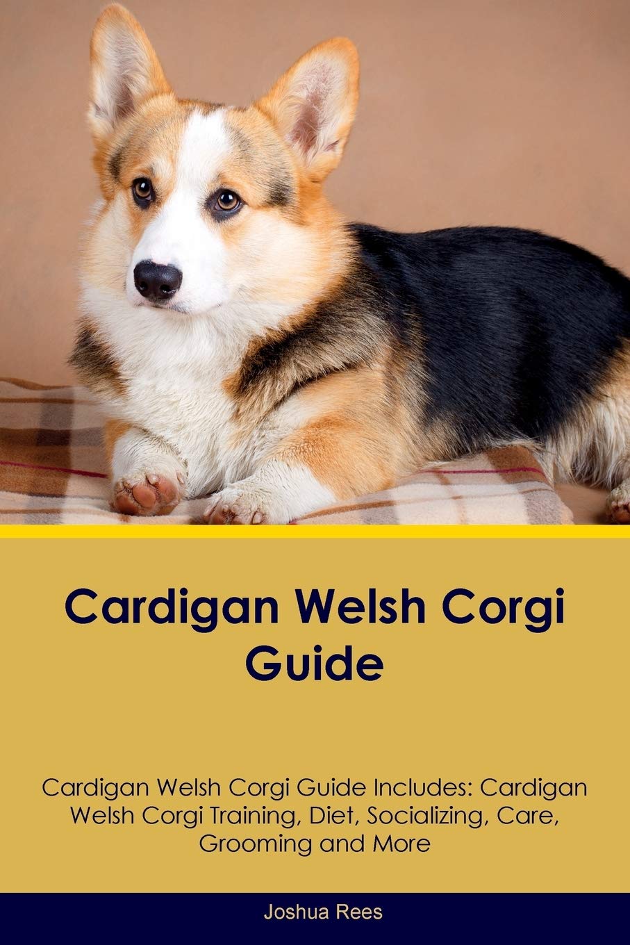 corgi diet