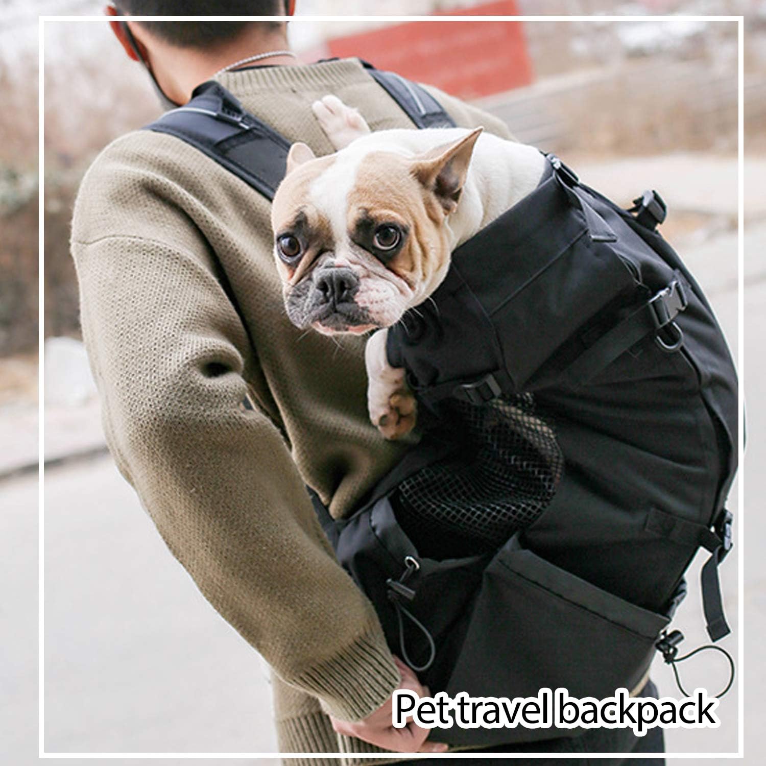 PETCUTEDog Cat Carrier Backpack dog travel bag backpack for Puppy cat Breathable pet carrier bag with Adjustable bag mouth waterproof backpack for pet Up to 16.5KG - Image 3