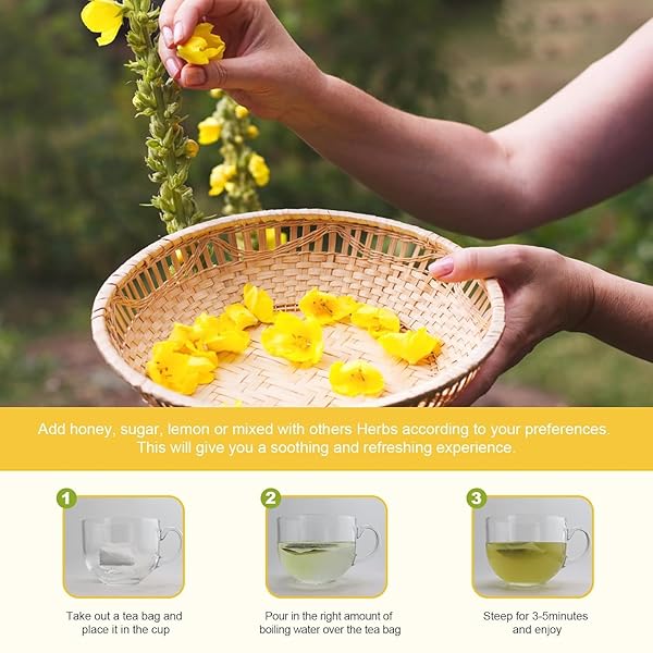IMATCHME MULLEIN TEA FOR LUNG CLEANSE, RESPIRATORY SUPPORT AND MUCOUS MEMBRANES, LEMON AND MULLEIN LEAF COMPLEX, GOOD TASTE, NATURAL HEALTHY HERBAL TEA, NO CAFFEINE, NON-GMO, 30 TEA BAGS