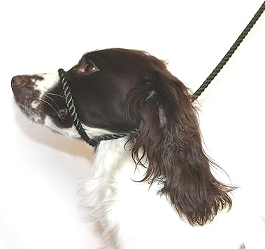 figure of 8 dog collar