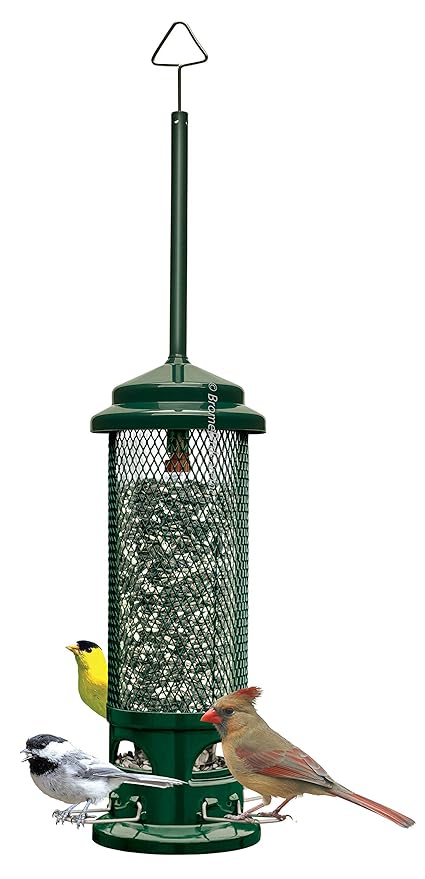 Brome Squirrel Buster Legacy Wild Bird Feeder Amazon In Garden